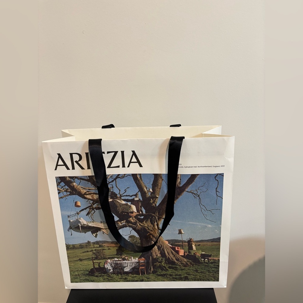 Aritzia shopping gift bag